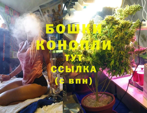прущий лед Абаза