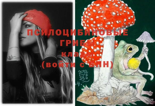 прущие крисы Абинск