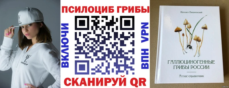 что такое наркотик  Боготол  Псилоцибиновые грибы Psilocybe 